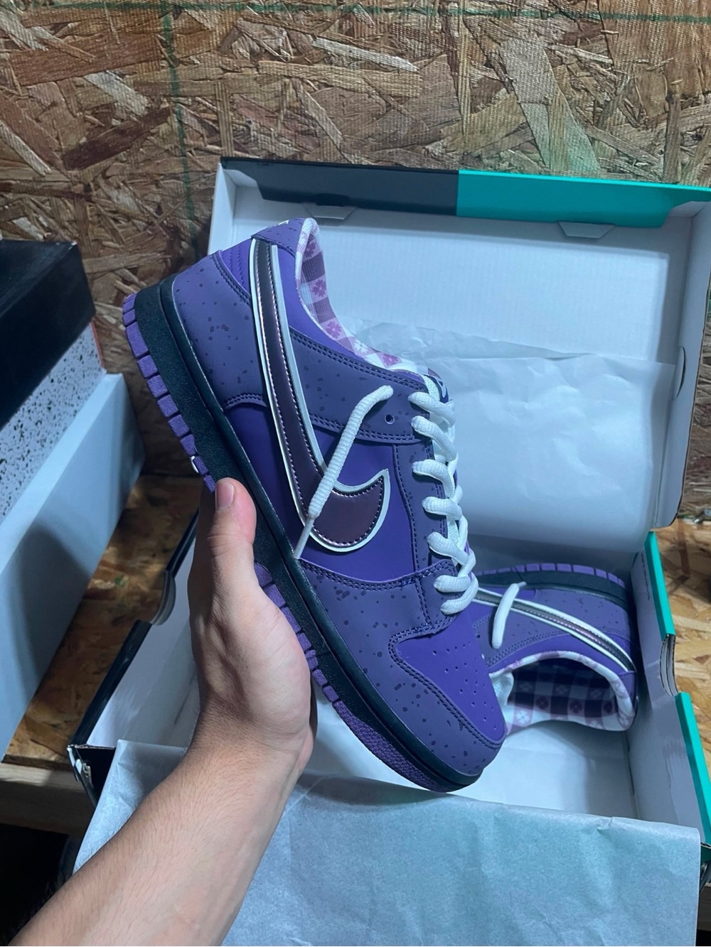 Concepts x Nike Dunk Low SB ‘Purple Lobster’ (Men Sizes)